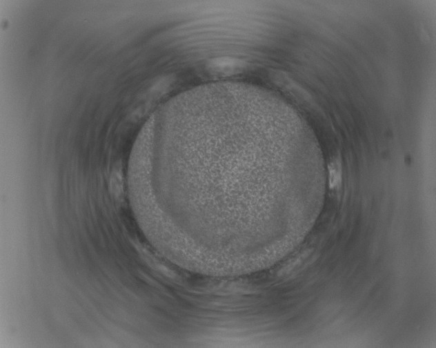 X0000077401011200611101814