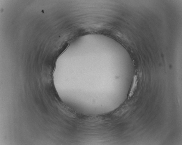 X0000077401012200611101814