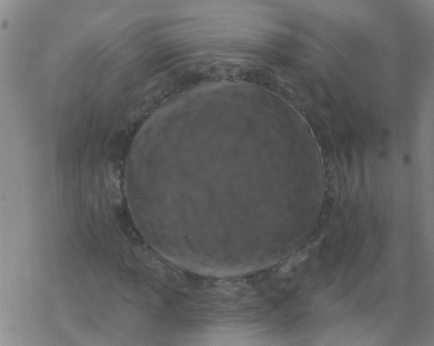 X0000077401013200611101814