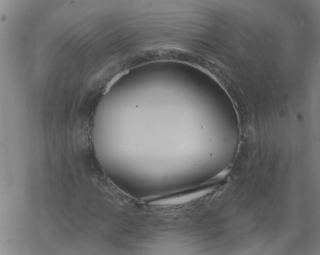 X0000077401014200611101814