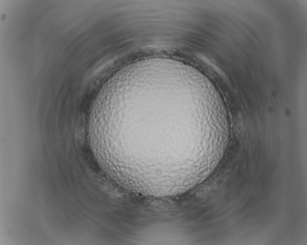 X0000077401015200611101814