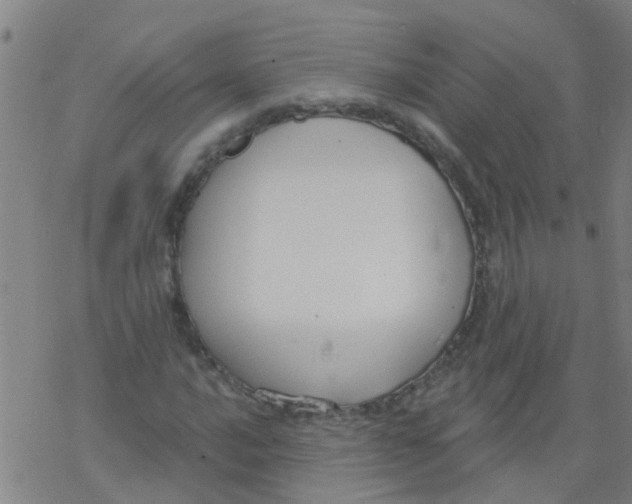 X0000077401016200611101814