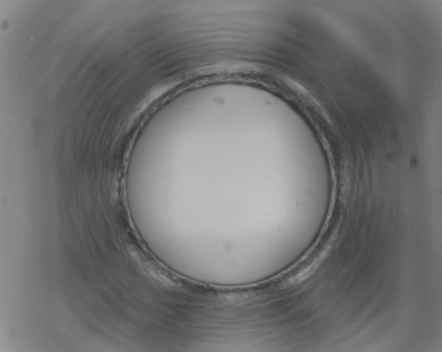 X0000077401017200611101815