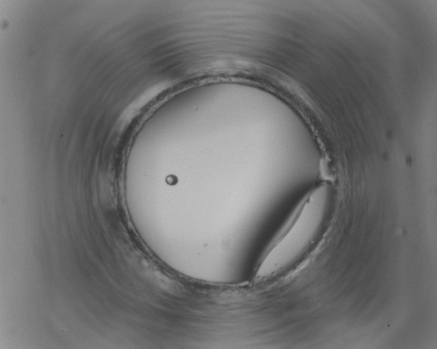 X0000077401018200611101815