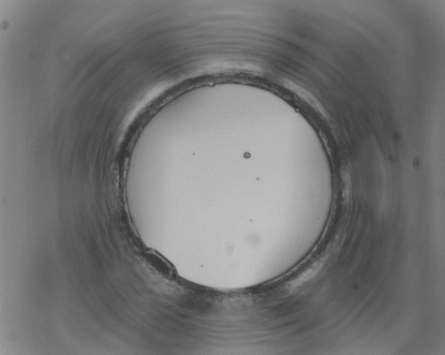 X0000077401021200611101815