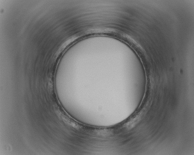 X0000077401025200611101815