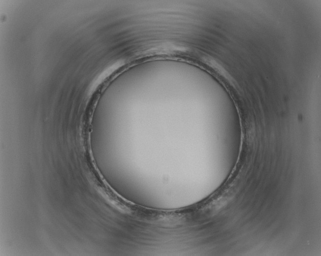 X0000077401026200611101815