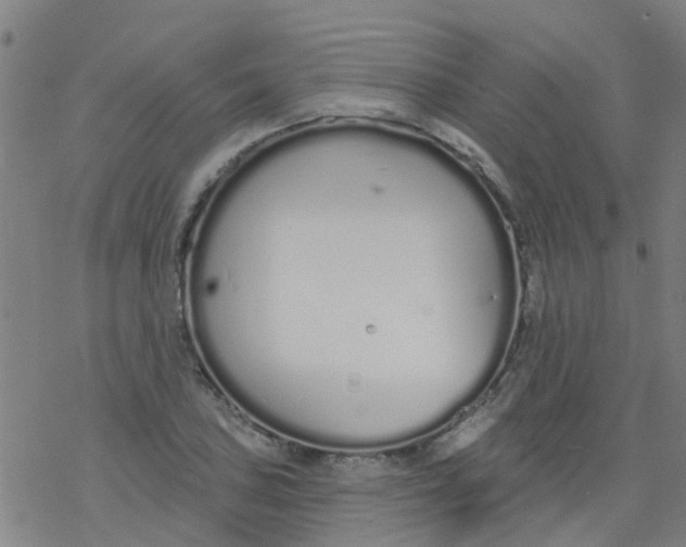 X0000077401027200611101815