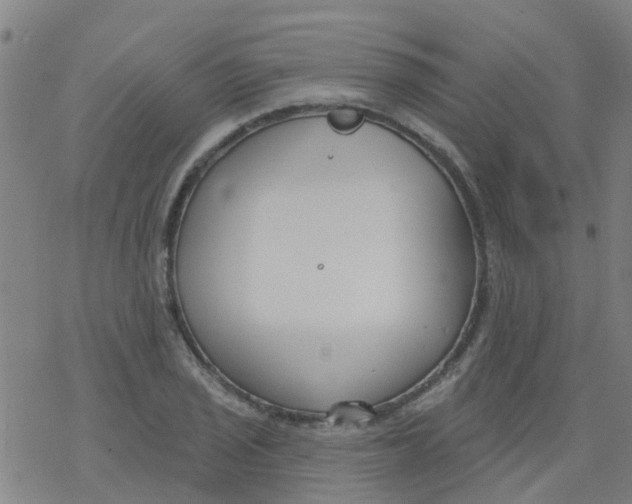 X0000077401029200611101815