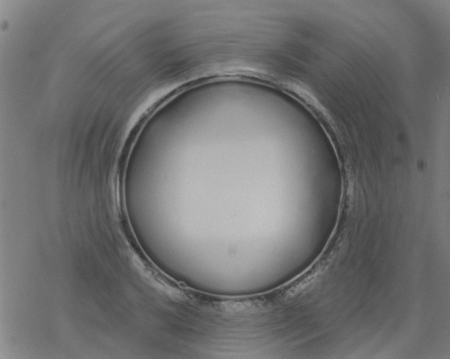 X0000077401032200611101815