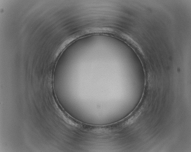 X0000077401033200611101815