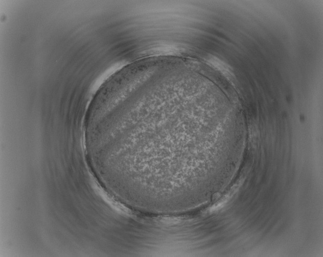 X0000077401034200611101815