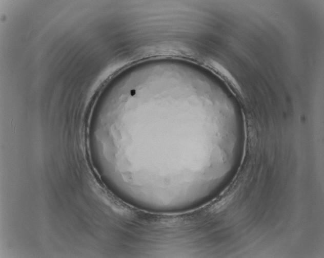 X0000077401035200611101815