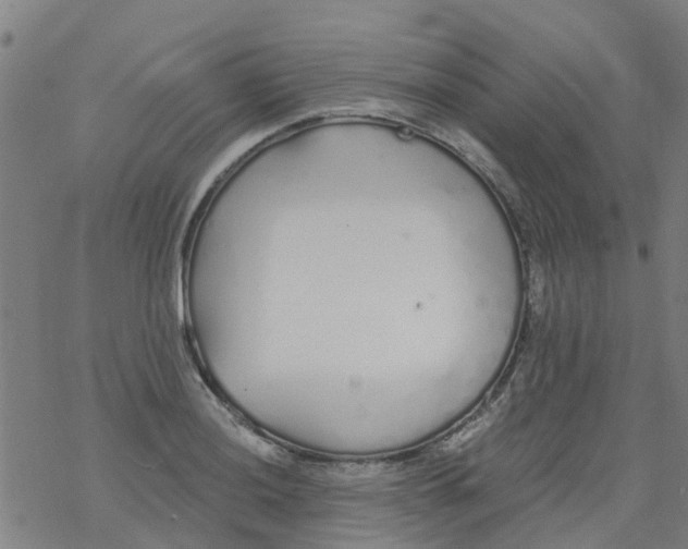 X0000077401036200611101815