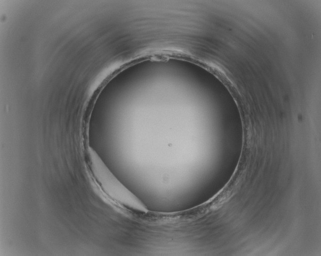 X0000077401038200611101815