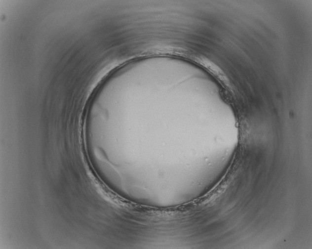 X0000077401039200611101815