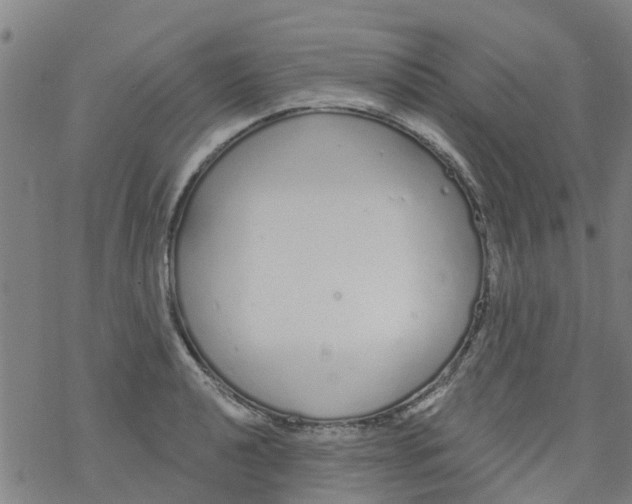 X0000077401040200611101815