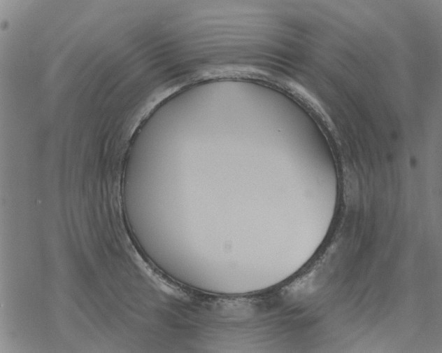 X0000077401041200611101815