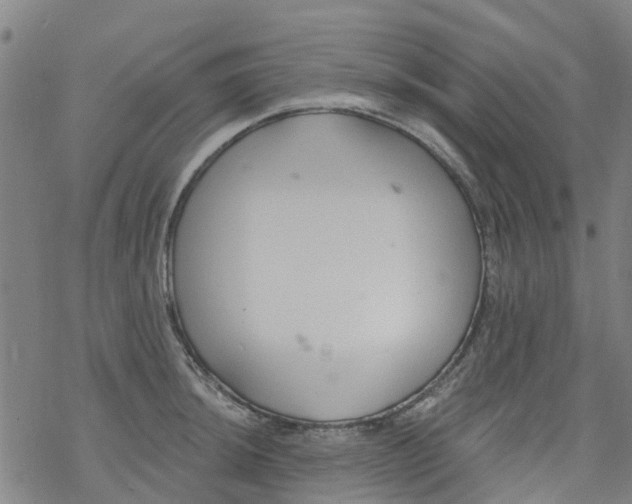 X0000077401044200611101815