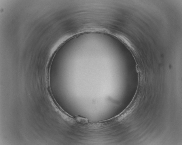 X0000077401046200611101815