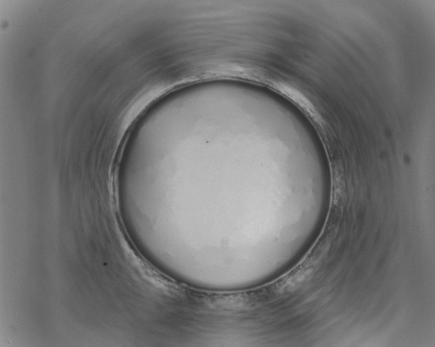 X0000077401047200611101815