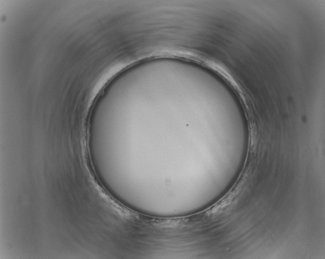 X0000077401048200611101815