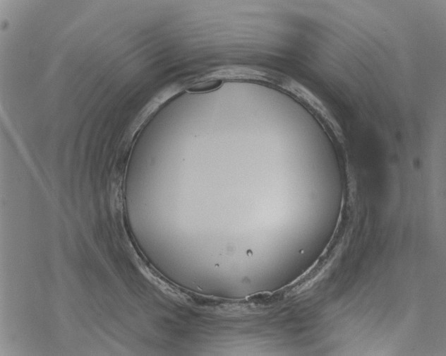 X0000077401049200611101815