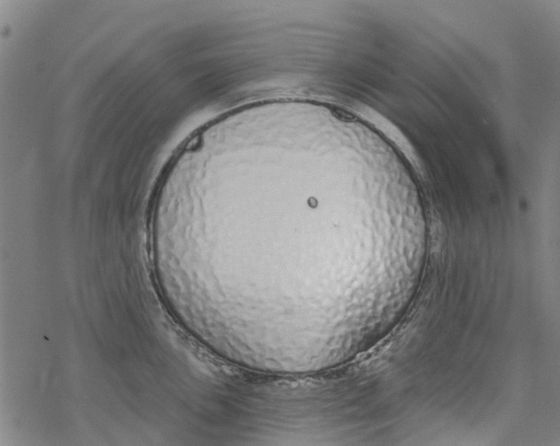 X0000077401051200611101815