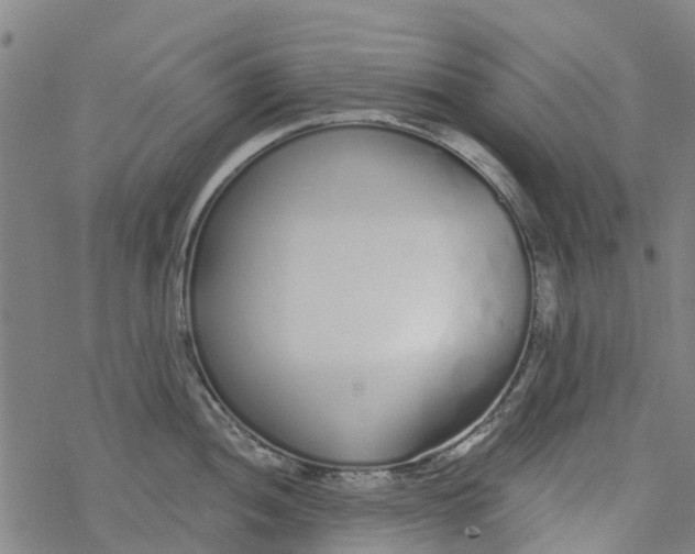 X0000077401052200611101815