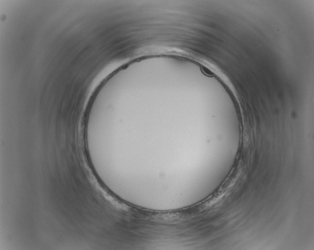 X0000077401053200611101815