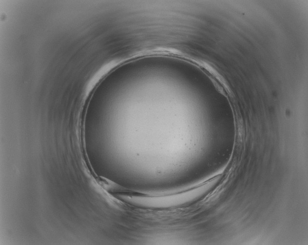 X0000077401054200611101815