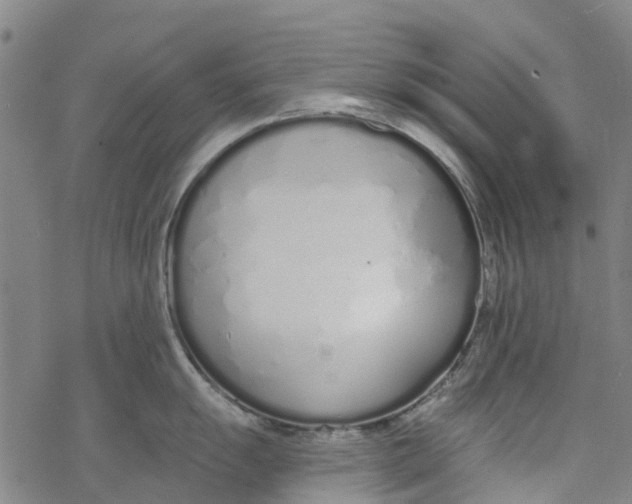 X0000077401055200611101815