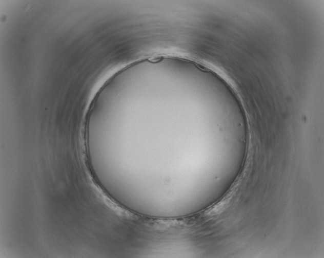 X0000077401056200611101815