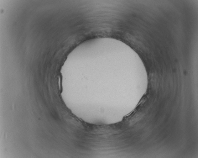 X0000077401057200611101814