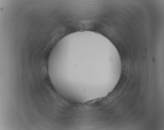 X0000077401058200611101814