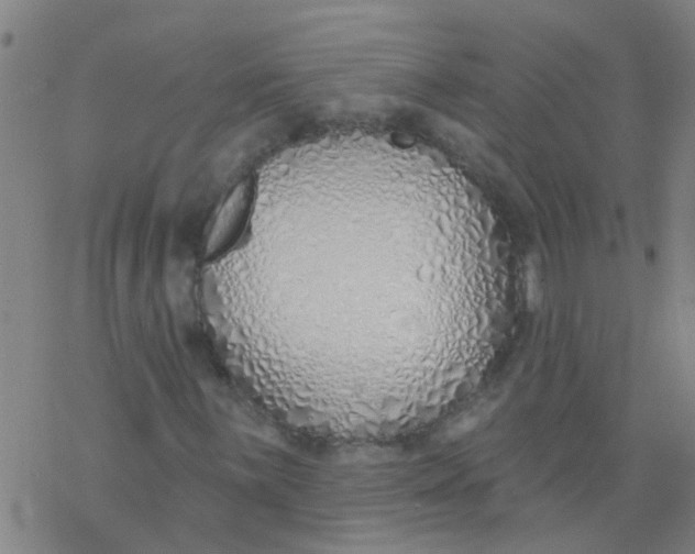 X0000077401059200611101814