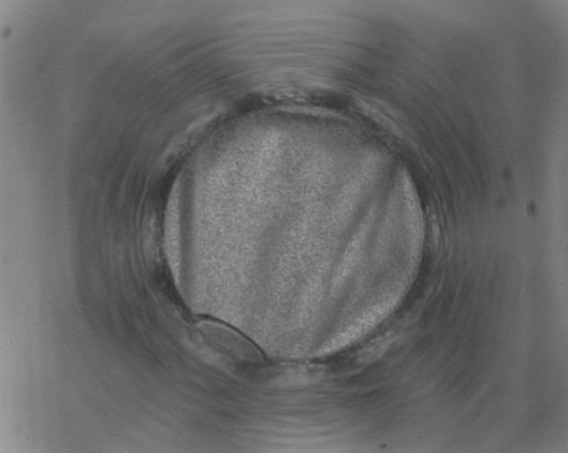 X0000077401060200611101814