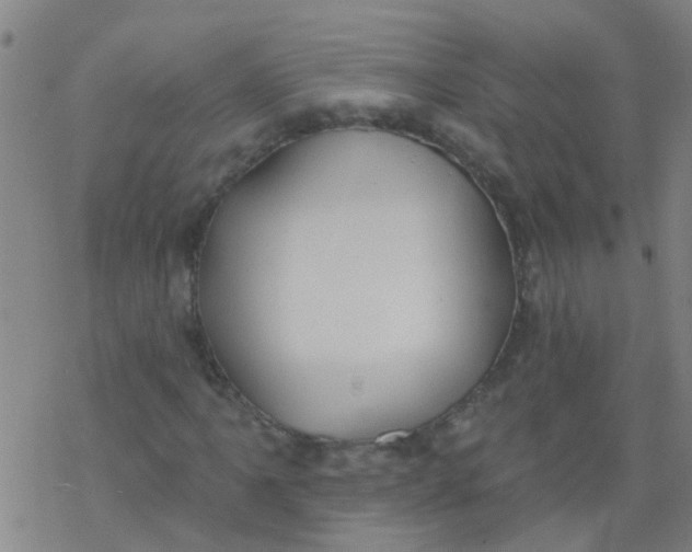 X0000077401061200611101814