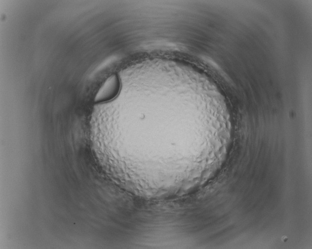 X0000077401063200611101814