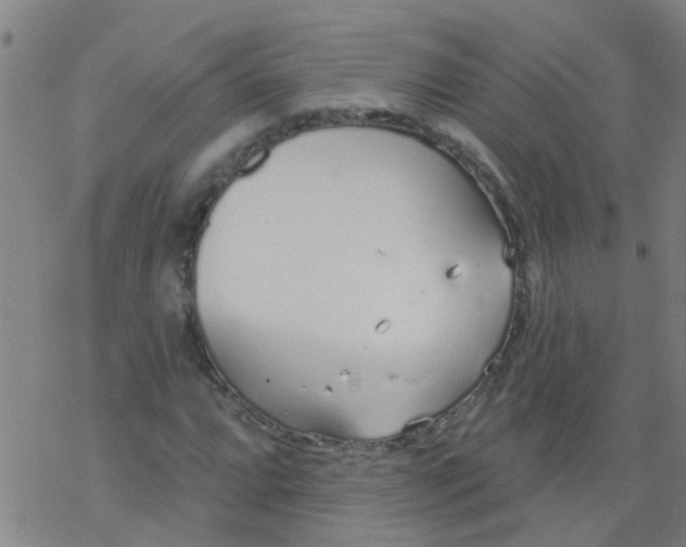 X0000077401064200611101814