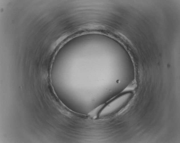 X0000077401065200611101814