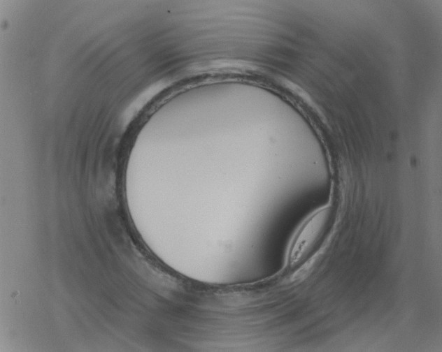 X0000077401066200611101814