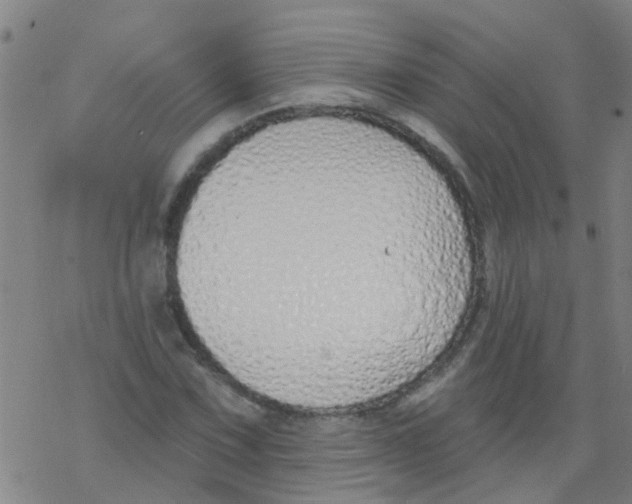 X0000077401067200611101814