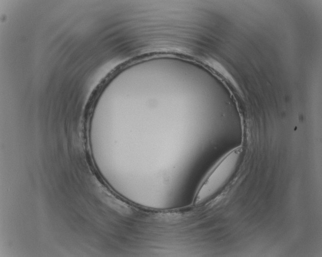 X0000077401068200611101814