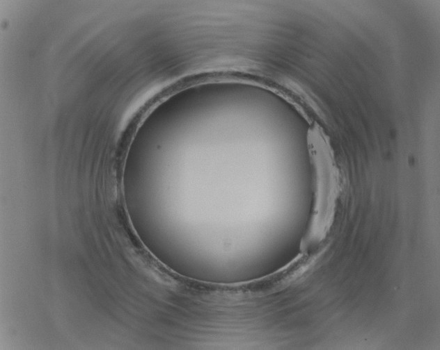 X0000077401069200611101814