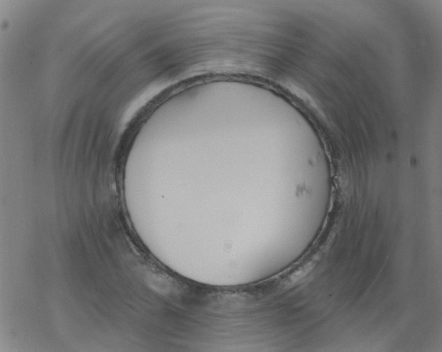 X0000077401070200611101814