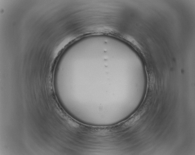 X0000077401071200611101814