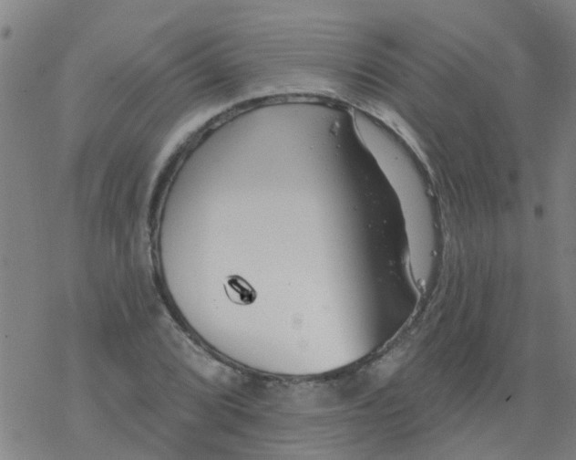 X0000077401072200611101814