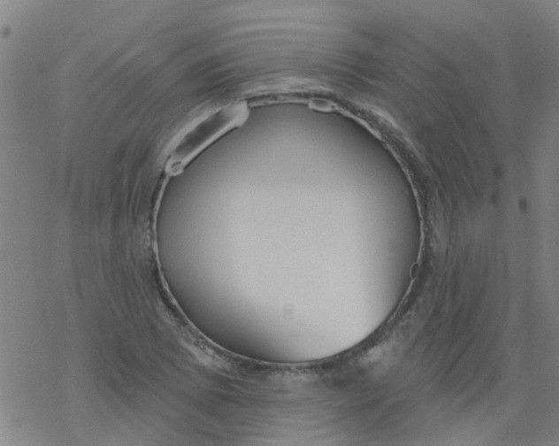 X0000077401073200611101814