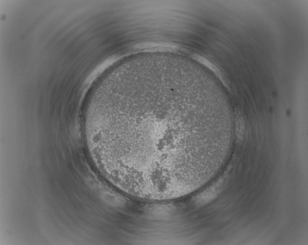 X0000077401074200611101814